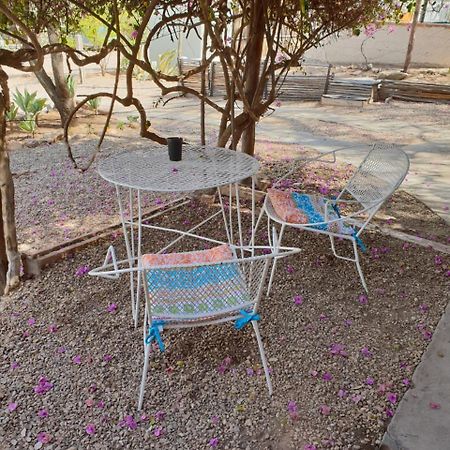 Oasis Shanti Backpackers Oudtshoorn Exterior photo