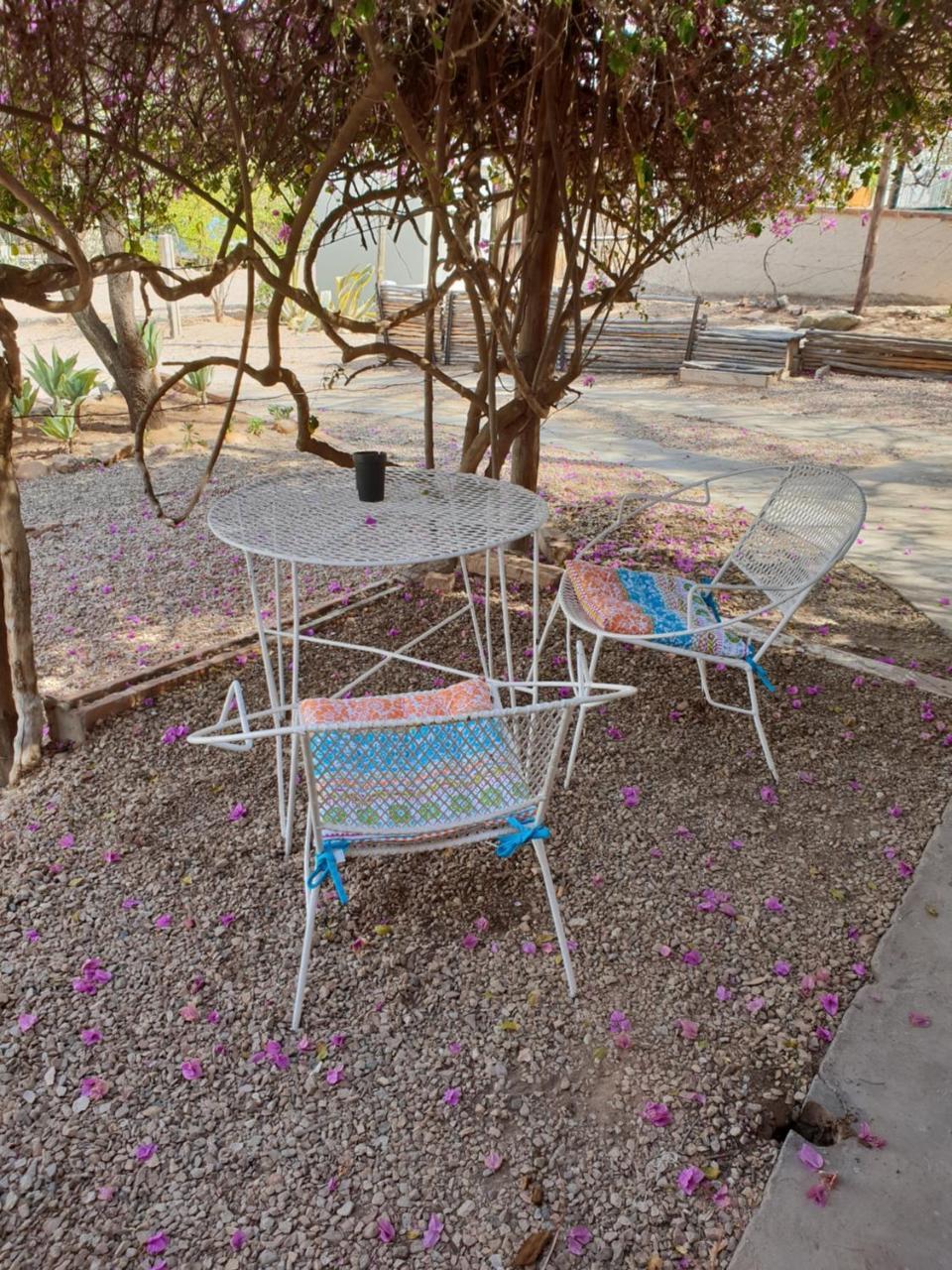 Oasis Shanti Backpackers Oudtshoorn Exterior photo